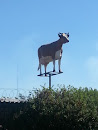 Cow on a Stick