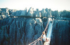 Les tsingy de behamara .