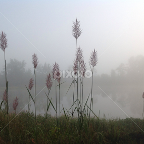 by Terry Linton - Uncategorized All Uncategorized