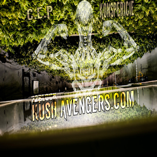 How to download 22Block Kush Avengers patch 2 apk for bluestacks