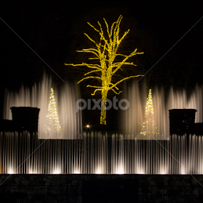 Fountains at Longwood Gardens by Michael Sharp - Public Holidays Christmas