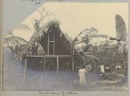 Caraïbendorp bij Albina