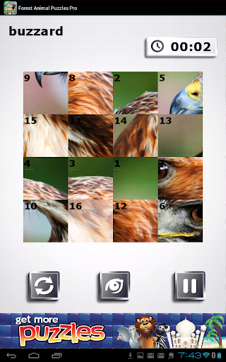 【免費書籍App】Forest Animal Puzzles Pro-APP點子