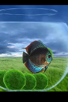 草原と熱帯魚ライブ壁紙 Androidアプリ Applion