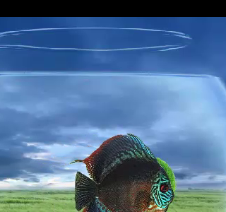 いろいろ スマホ 熱帯魚 壁紙 101435-スマホ 熱帯魚 壁紙