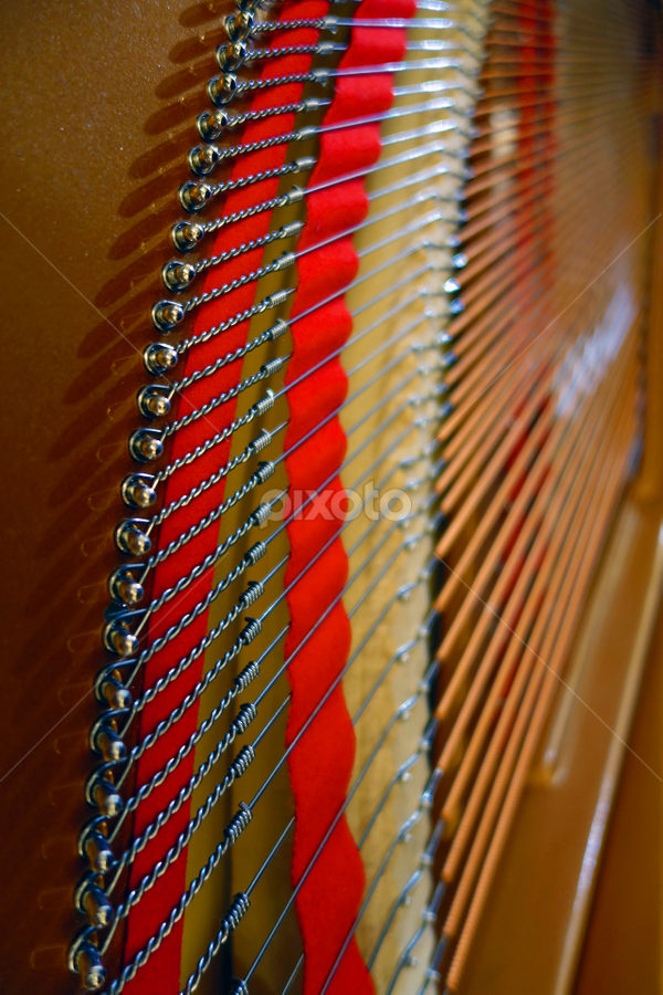 by J W - Abstract Patterns