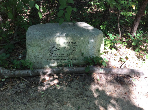 Red Maple Trail Marker