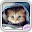 Cute Kittens Live Wallpaper Download on Windows