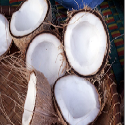 Android application The oracle of the coconuts screenshort