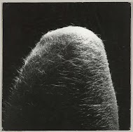 Behaarde  knie of elleboog