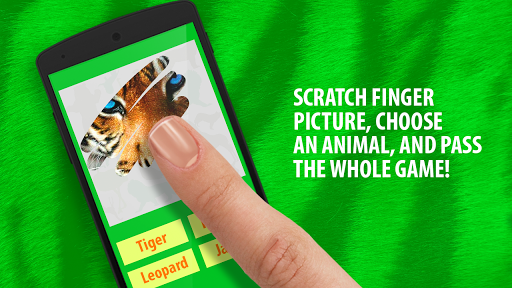 Scratch: Guess animal