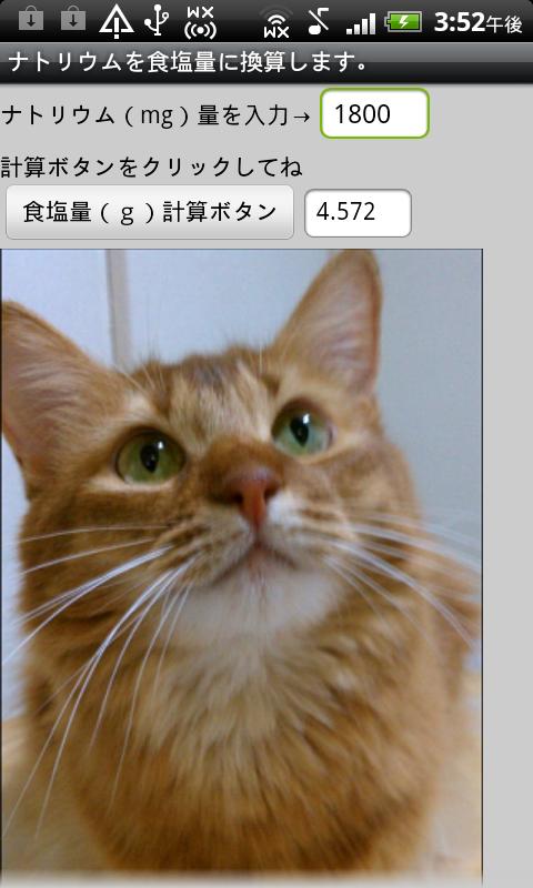 看護師がつくった塩分計算機 Screen 2