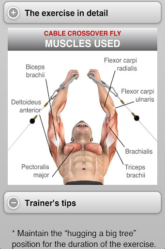 【免費健康App】Muscle Building - Chest & Abs-APP點子