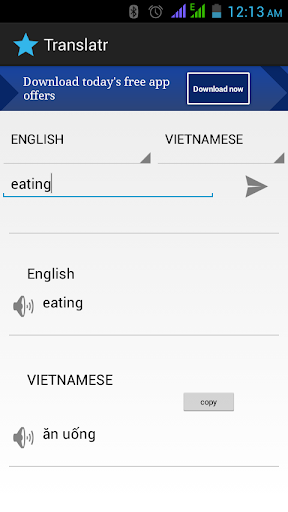 vietnamese translator