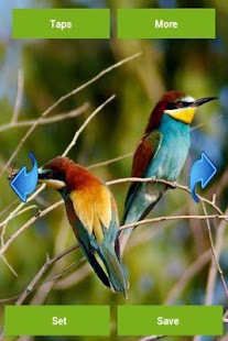 How to download Birds Wallpapers patch 2.0.0 apk for laptop