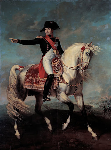 Napoleon on the field of Wagram