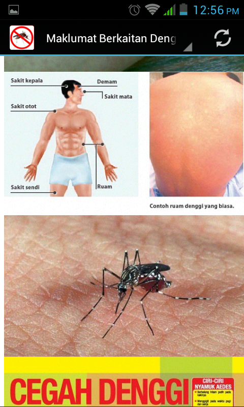Demam Denggi - Android Apps on Google Play