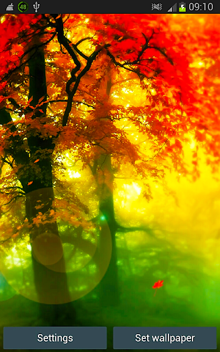 Galaxy S5 Forest HD Wallpaper