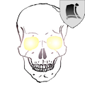 SkullWallpaper Apk