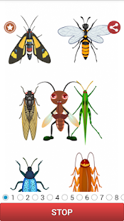 Free Insect Sound APK for PC