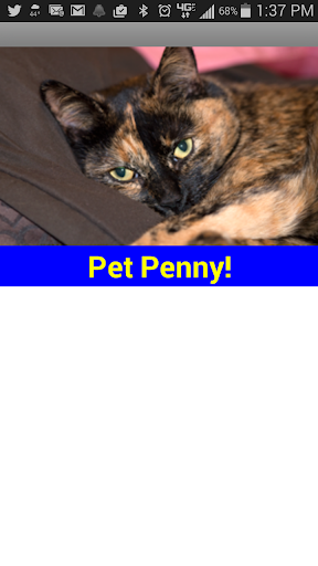 Pet Penny