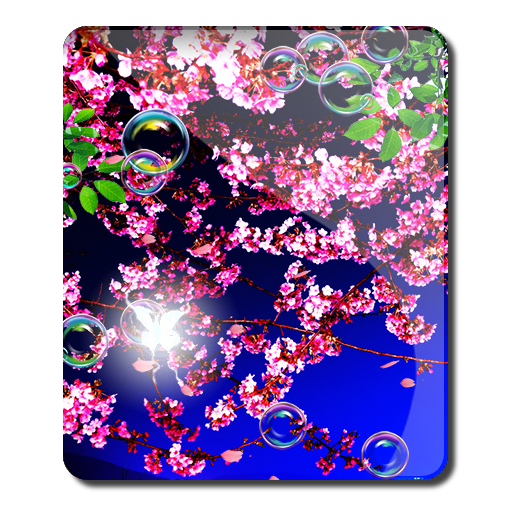 Sakura Flower n Bubbles HD 個人化 App LOGO-APP開箱王