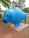 Blue Buffalo at Zarrow Library