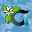 OpenApereo Download on Windows