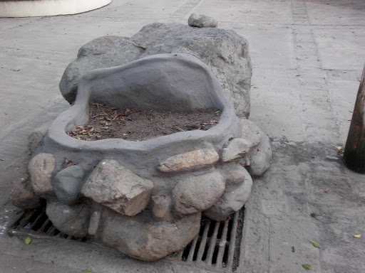 Piedra Ceremonial De Las Ranas