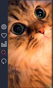 Fonds d’écran - screenshot thumbnail