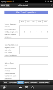 5 year Cash Flow Projection Screenshots 1