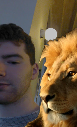 Selfie With a Lion
