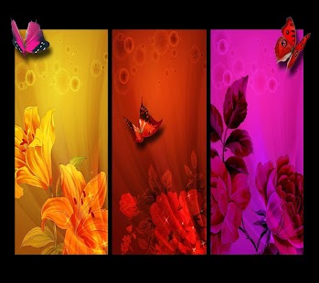 download Butterfly Wallpapers Share free