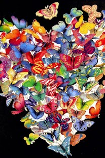 Download Butterfly Wallpaper APK for Android