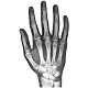 X-Ray Right Hand FREE APK