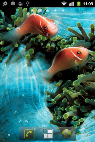 Download Fish Live Wallpaper Google Play Apps Auts9zvfbomj Mobile9