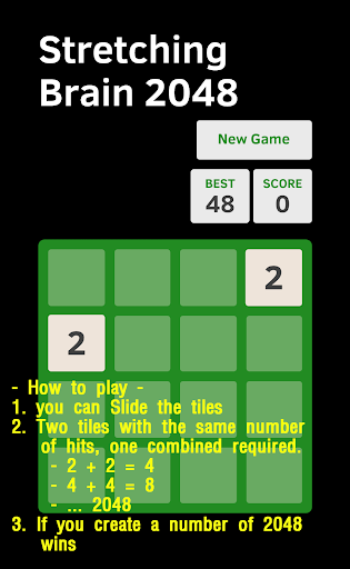 Stretching Brain 2048