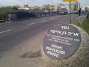 Ariyeh Ben Eliezer Bridge