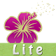 Hay Fever Diary Lite APK