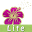 Hay Fever Diary Lite Download on Windows