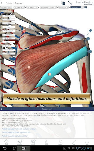 免費下載醫療APP|Muscle Premium app開箱文|APP開箱王