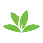 Cover Image of Télécharger Identification des plantes PlantNet 1.4.0 APK