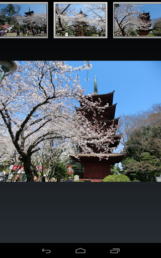 【免費旅遊App】千葉県　法華経寺と桜(JP040)-APP點子