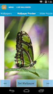 How to mod Butterflies Live Wallpaper 1.6 mod apk for pc