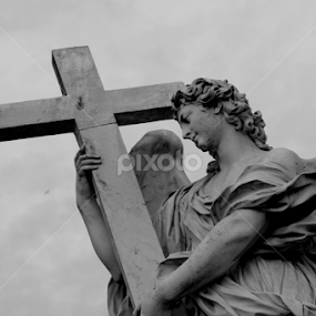 Eternal Guardians by Nick Schroeder - Buildings & Architecture Statues & Monuments