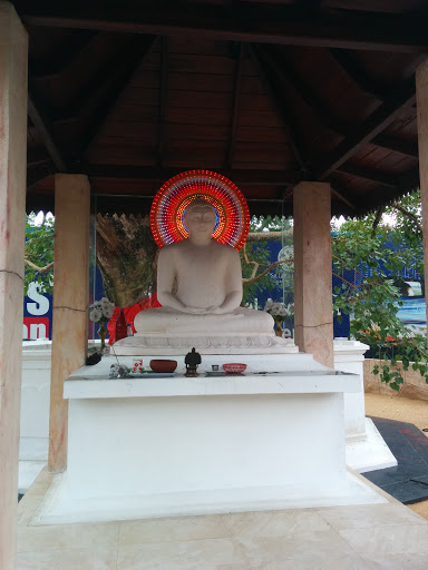 Buddha Statue at DMT