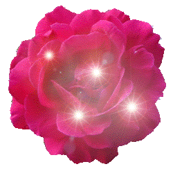 rosa056.gif