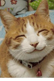 How to install Pet Training Clicker 2.0 apk for laptop