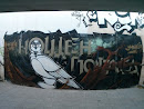 The Dove Graffiti