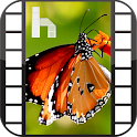 Butterfly Free Homescreen
